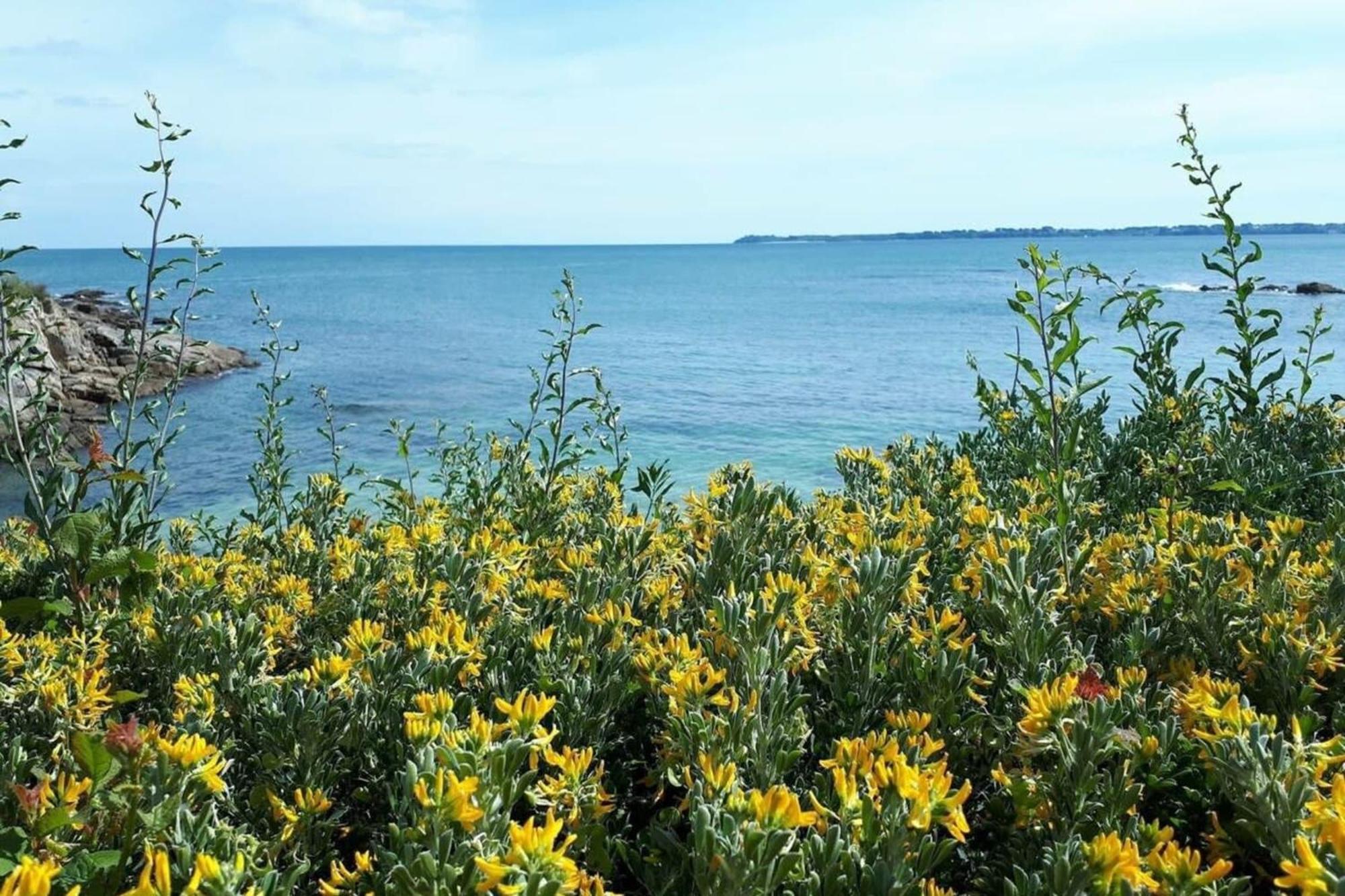 Charmant T3 Cosy A 2 Pas Du Bourg Et Des Plages Larmor-Plage Exterior photo